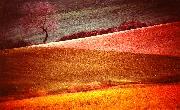 Foto_000201.jpg